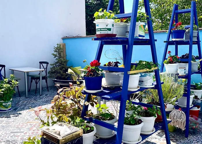 Regina Bed&wine Varna